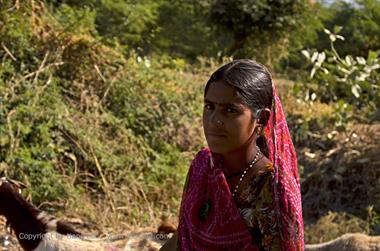 03 PKW-Reise_Ranakpur-Deogarh_DSC4684_b_H600